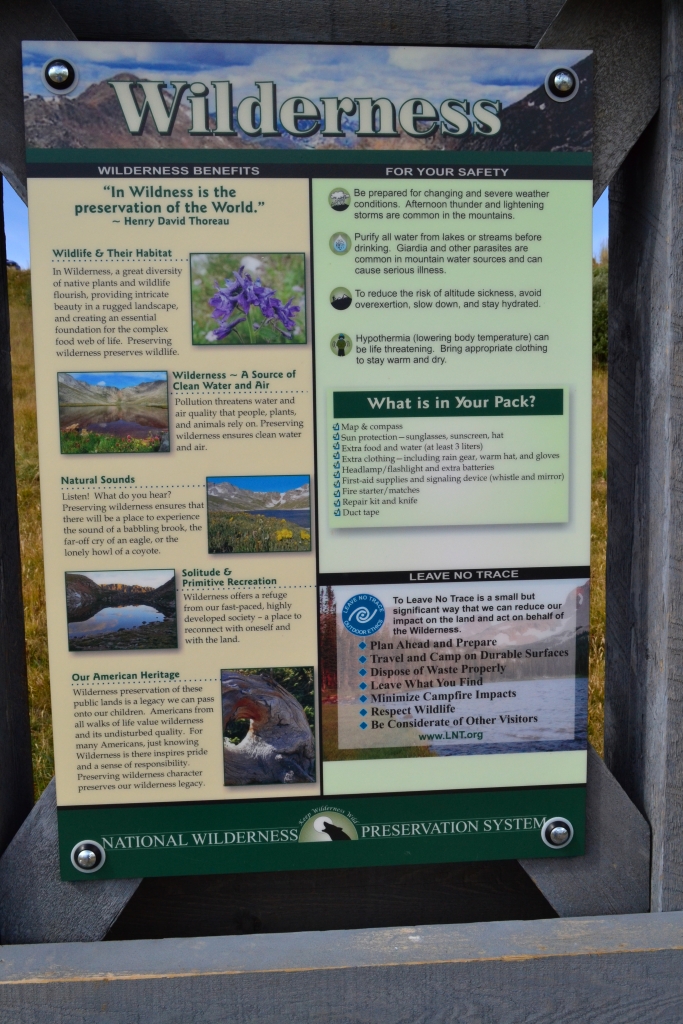 Mt. Bierstadt Summit - Take a Walk