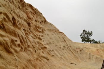 Torrey_Pines_Small_026